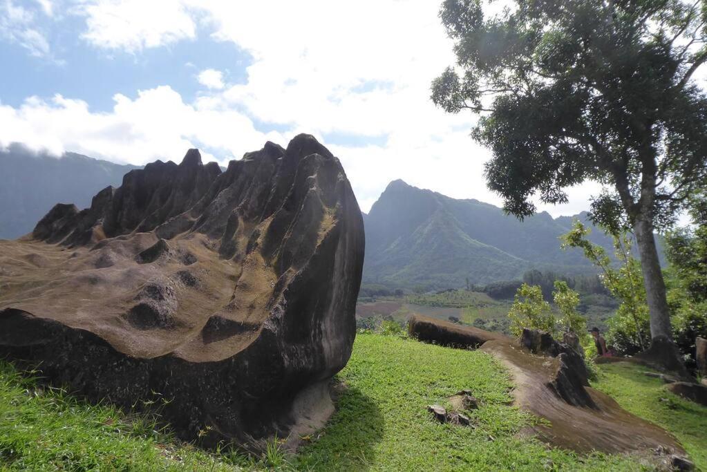 Raiatea, Opoa, Studio Du Fare Reve, Acces Mer Privatif Exterior foto