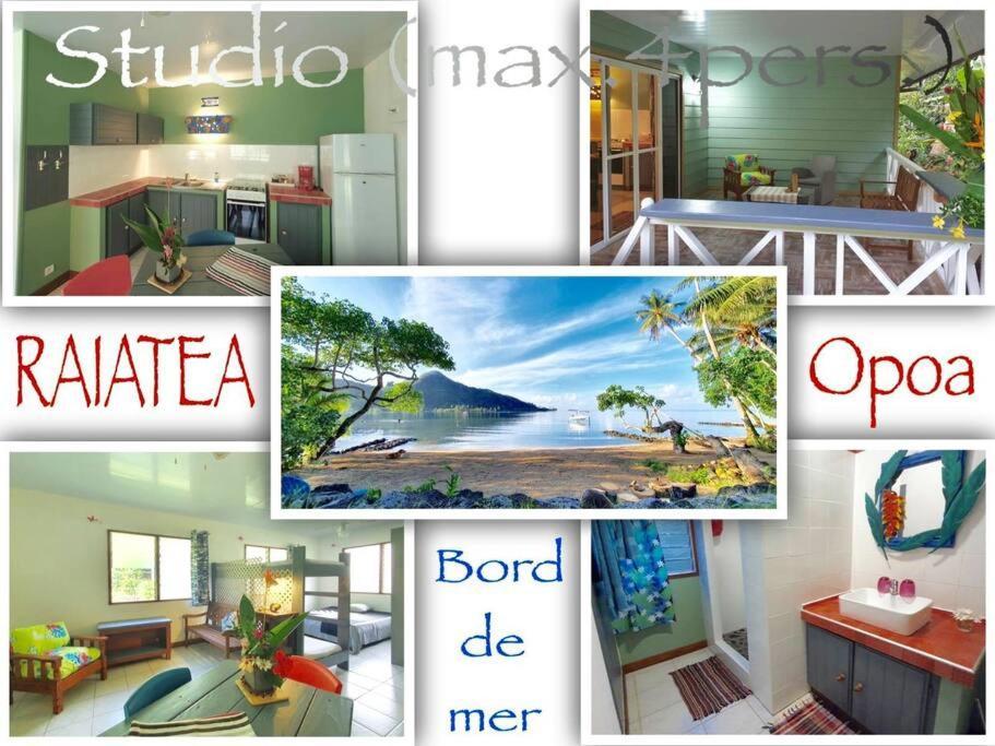 Raiatea, Opoa, Studio Du Fare Reve, Acces Mer Privatif Exterior foto
