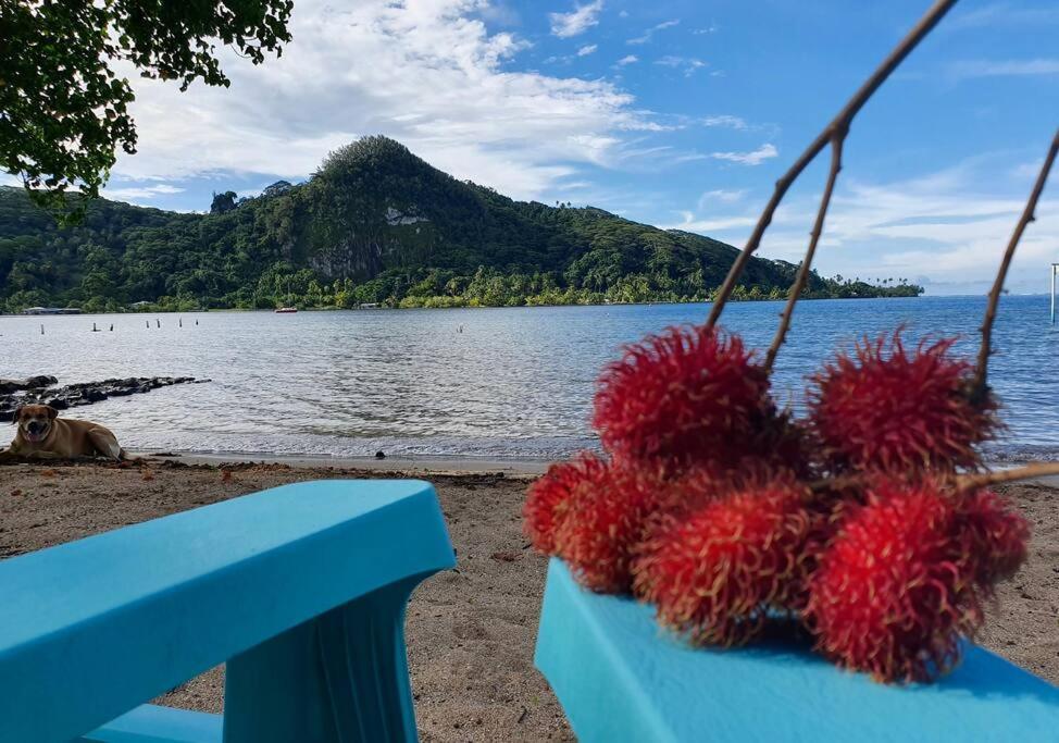 Raiatea, Opoa, Studio Du Fare Reve, Acces Mer Privatif Exterior foto